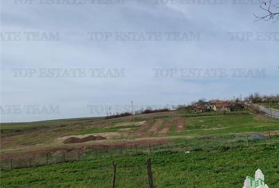 Teren intravilan cu utilitati 4350 mp Pantelimon Jud Constanta - 2