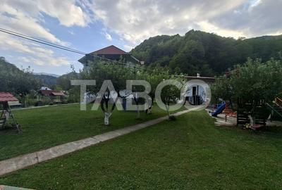 Spatiu de vanzare in Valea Macesului judel Valcea iesire la Lotru - 27