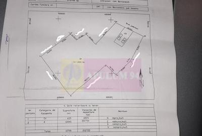 BARCANESTI - casa +curte+teren 16k mp - 8