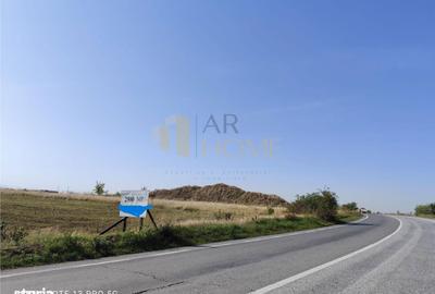 Teren de 2500 mp, în Cocorăștii Colț - 3