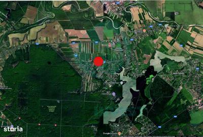 Teren de 5000 mp, în Gruiu - 2