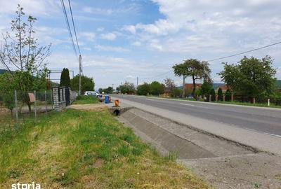 Teren de 1000 mp, în Viișoara - 3