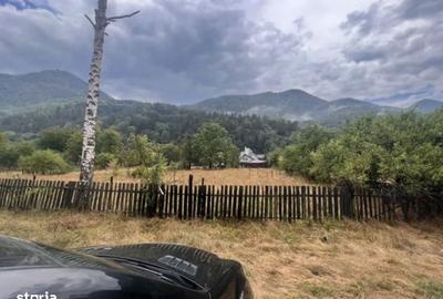 Teren de 3000 mp, în Oituz - 2