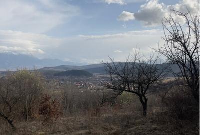 Teren intravilan 3400mp - 5