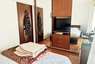 Baba Novac -Dristor- 2 camere -mobilat modern - 7