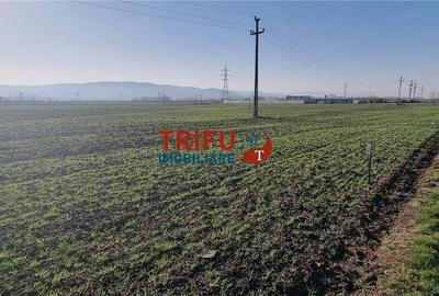 Spațiu comercial, în Sântimbru - 1