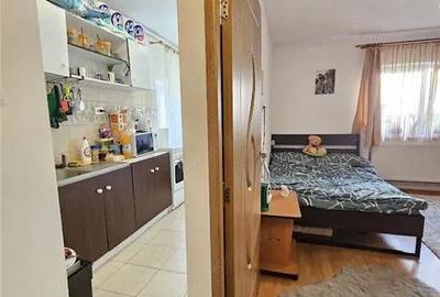 Garsonieră decomandată, mobilată în Tudor Vladimirescu - 6