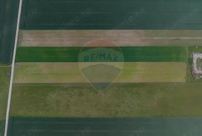 Teren 42,000mp Tarlungeni / Strada Izvor - 11