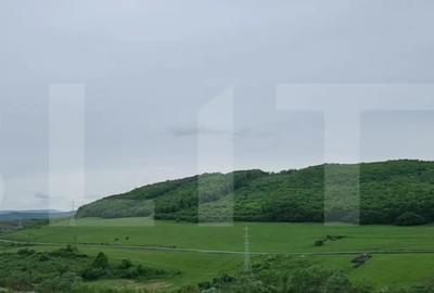 Casă cu 4 camere cu Teren 500 Mp în Central - 11