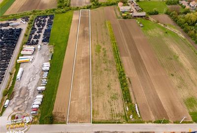 Spațiu comercial, în Sânzieni - 6