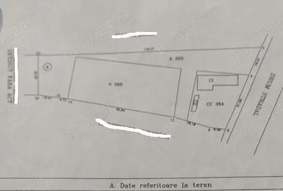 Casă cu Teren 3447 Mp în Satu Nou - 6