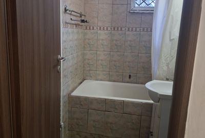 Apartament cu 3 camere semidecomandat în Dâmbu Pietros - 7