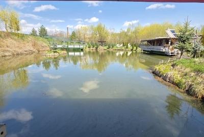 Teren Construcții intravilan de 6000 mp, în Central - 13