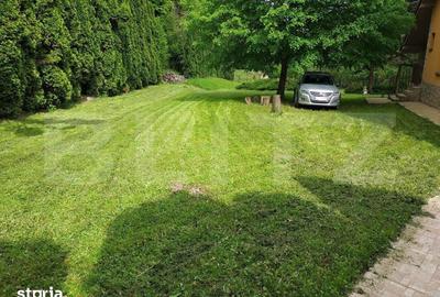 Casă cu 3 camere cu Teren 2500 Mp în Ighiu - 7
