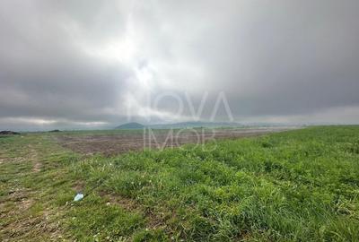 Teren agricol extravilan de 2710 mp, în Gura Râului