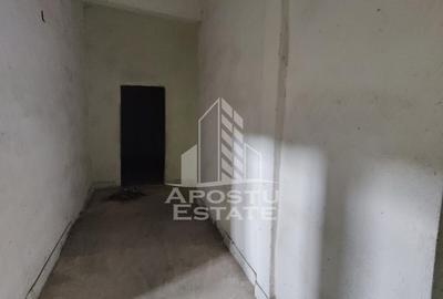 Teren de 8000 mp, în Micălaca - 14