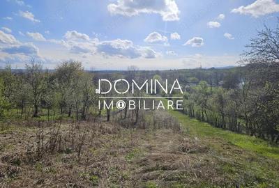 Vanzare teren 4606 mp - Sat Balta - Runcu - la aproximativ 20 km de Targu Jiu - 3