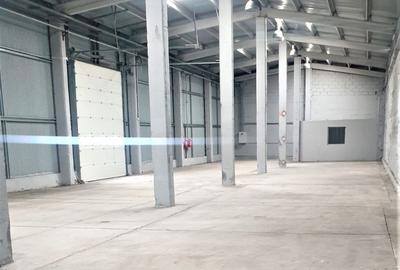 Spațiu industrial, de 1,250 mp, în Giarmata - 1