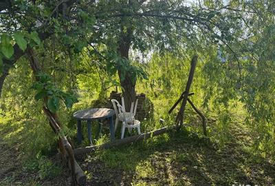 Vand casa in satul brestea Vand casa in satul brestea - 2