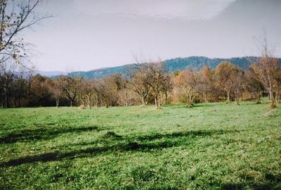 Teren de 5867 mp, în Valea Mare - 4