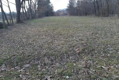 Teren de 2200 mp, în Vișeu de Mijloc - 1