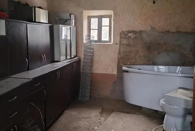 Casă cu 3 camere cu Teren 10000 Mp în Central - 1