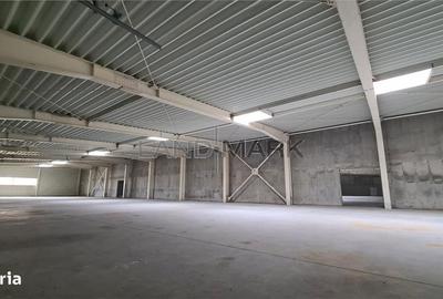 Spațiu comercial, de 4,800 mp, în Dumbrăvița - 1