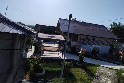 Casă cu 4 camere cu Teren 11000 Mp în Bobaița - 1