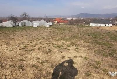 Teren în Satu Nou de Jos - 2