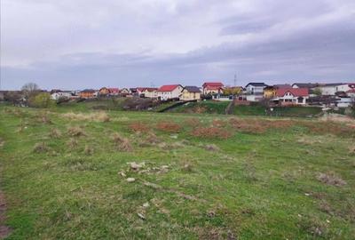 Teren de 2500 mp, în Central - 3