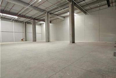 Spatiu Industrial - 1800 mp - Logistica - Productie - Depozitare - Distributie - 3