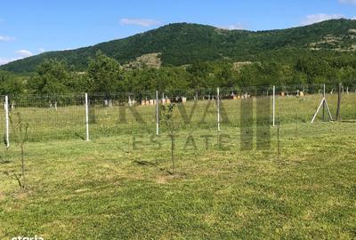 Teren de 800 mp, în Birda - 2