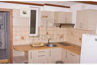 Apartament tip studio pe 2 nivele zona Iosefin - 6
