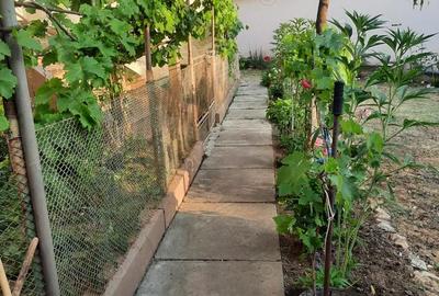 Casă cu 6 camere în Alioș - 2