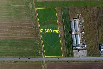 Teren de 7500 mp, în Tărlungeni - 10