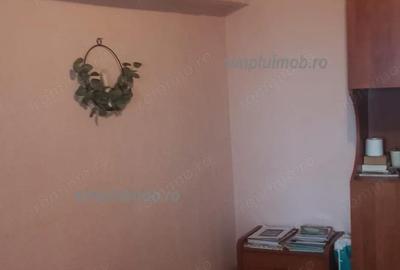 Apartament cu 3 camere decomandat, mobilat în Alba Iulia - 14
