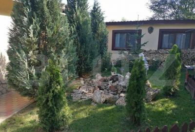 Casa 5 camere, 1100 mp teren, Birnova - 12