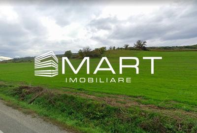 Teren extravilan 42000MP Seica Mare - Sibiu - 3