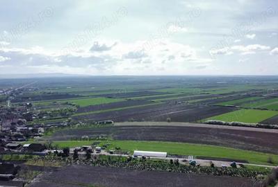 Parcele de teren - 729 mp | Amati - 3,5 km de Satu Mare - 8