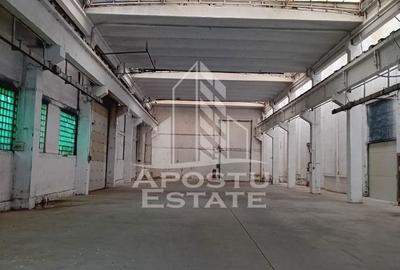 Spațiu comercial, de 620 mp, în Sânnicolau Mic - 5