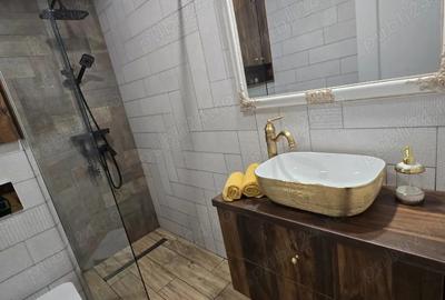 Inchiriez apartament bulevard dem radulescu - 7
