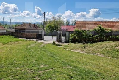 Casa de Familie | 175 mp + Curte 3166 mp | Tatara?ti, B - 1