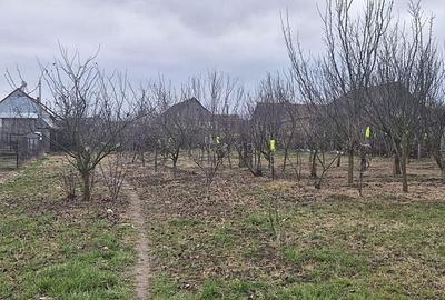 Casă cu 2 camere cu Teren 4000 Mp în Tăut - 6