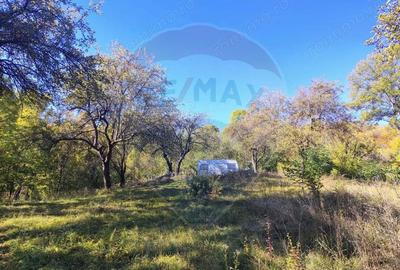 Teren de 5408 mp, în Nord - 4