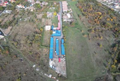 Teren de 8540 mp, în Plopi