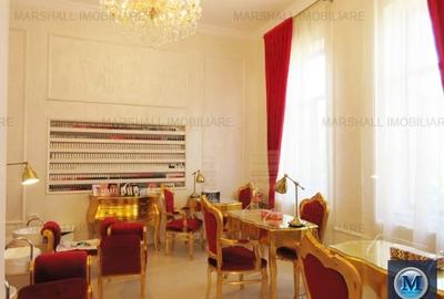 Vila cu 14 camere de vanzare, zona Ultracentral, 327 mp #13125 - 14
