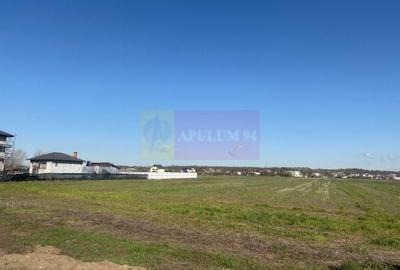 Teren Construcții intravilan de 4000 mp, în Ordoreanu - 2