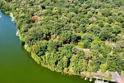 Teren 4800mp | Padurea Snagov | Deschidere larga la Lacul Snagov | Investitie - 1