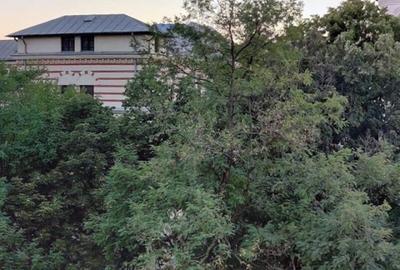 Apartament cu 3 camere decomandat, mobilat în Unirii - 10