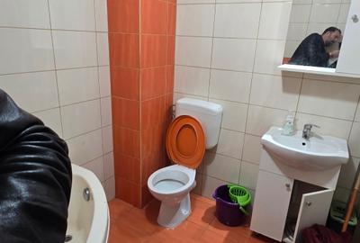 Apartament cu 2 camere decomandat, mobilat în Roșu - 16
